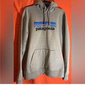 Patagonia Sweatshirt